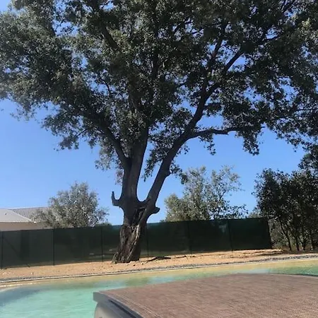 Rossa Contemporaine Piscine Chauffee