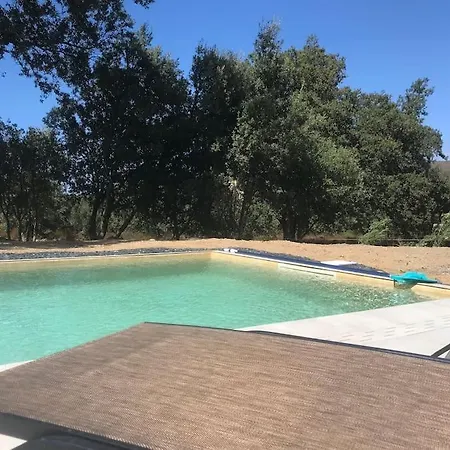 Rossa Contemporaine Piscine Chauffee * Palasca (Corsica)