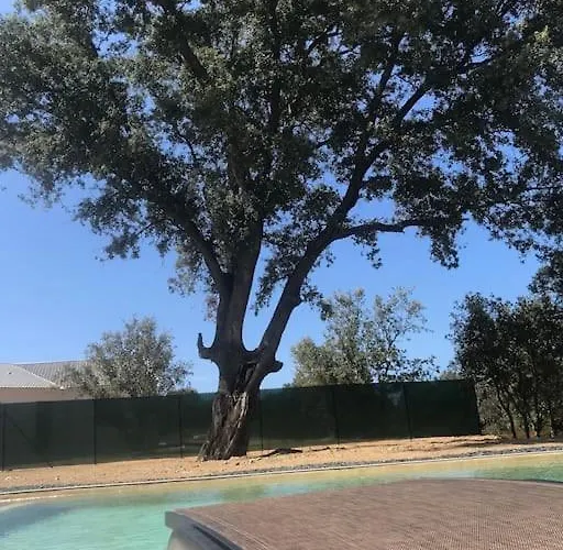 Rossa Contemporaine Piscine Chauffée